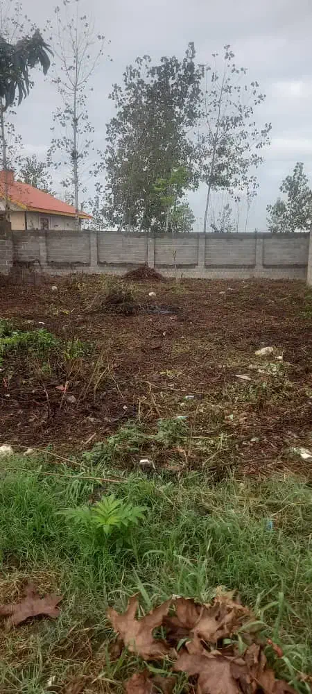 ۳۸۰مترزمین/مناسب ساخت وساز با جواز/بهترین لوکیشن|فروش زمین و ملک کلنگی|لشت نشا, |دیوار