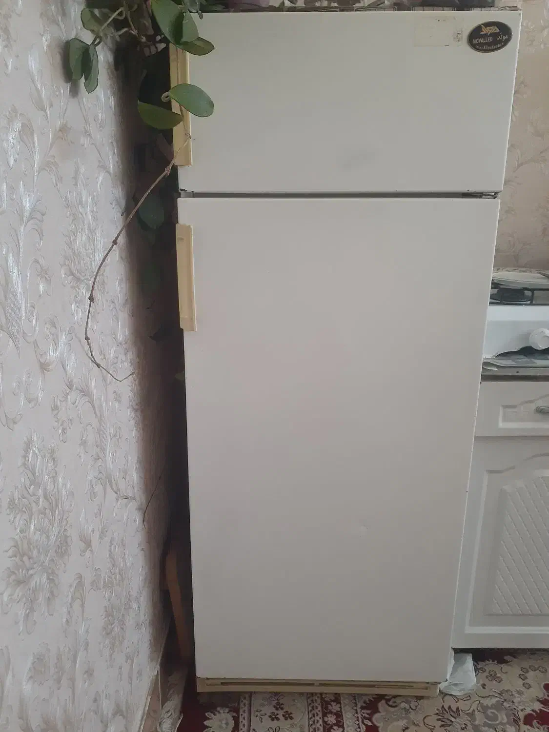 وسایل خانه مبل|مبلمان خانگی و میز عسلی|اردبیل, |دیوار