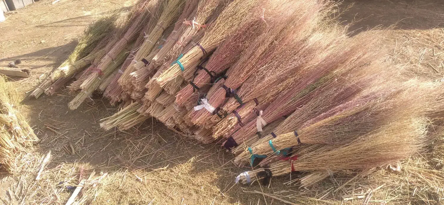 جاروی بلند|لوازم نظافت|یاسوج, |دیوار