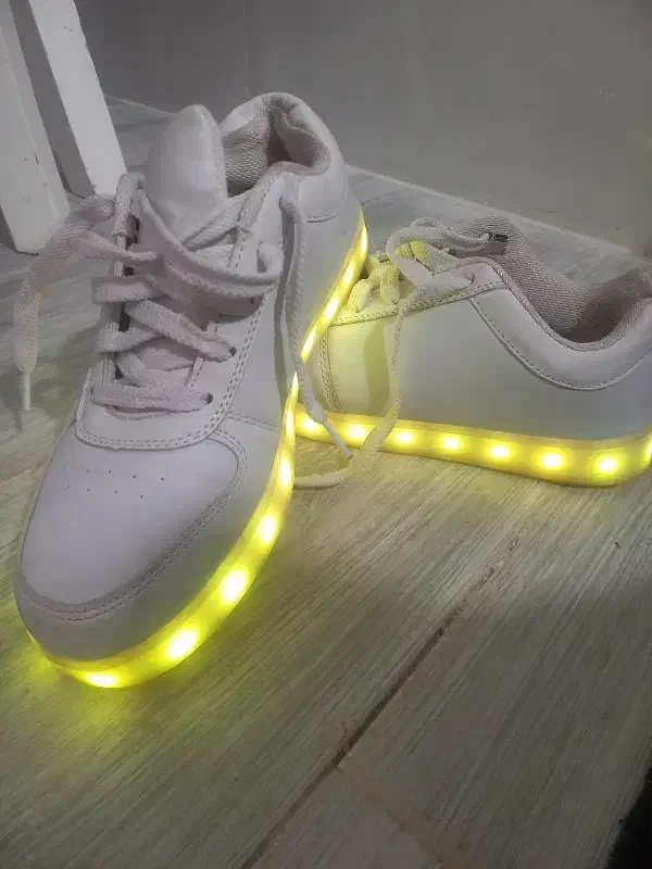 کفش|کیف، کفش، کمربند|زرند, |دیوار