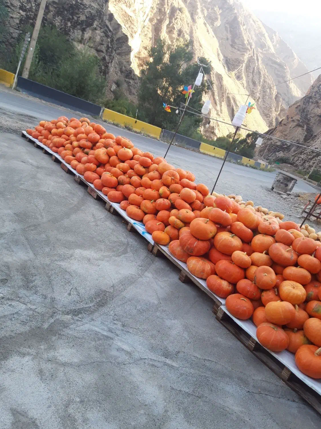 مانتو مسافرتی جاده چالوس|لباس|کرج, باغستان|دیوار