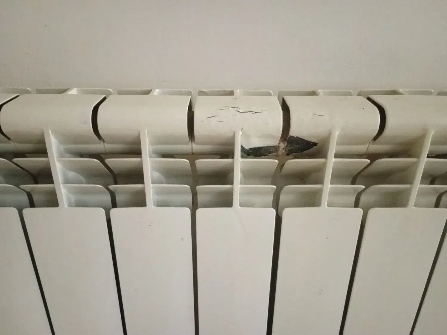 هم خونه فقط خانم|فعالیت داوطلبانه|ماهدشت, |دیوار