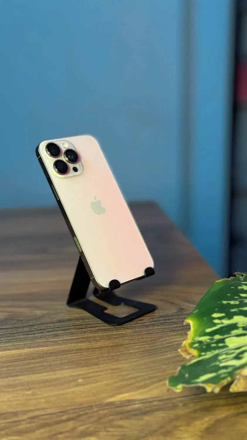 فروش ۱۶ ‌مکس|موبایل|لامرد, |دیوار