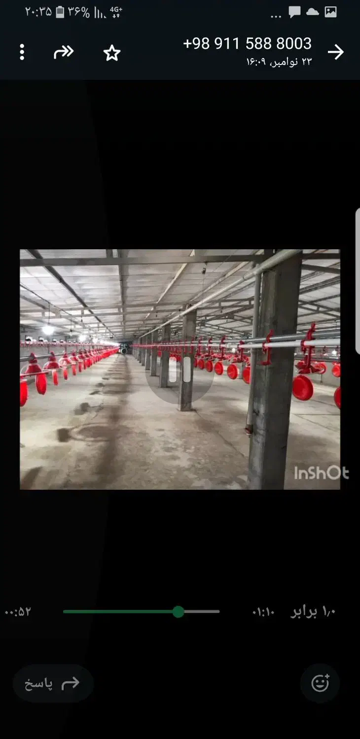 فروش مرغداری نکا|فروش دفتر صنعتی، کشاورزی، تجاری|نکا, |دیوار