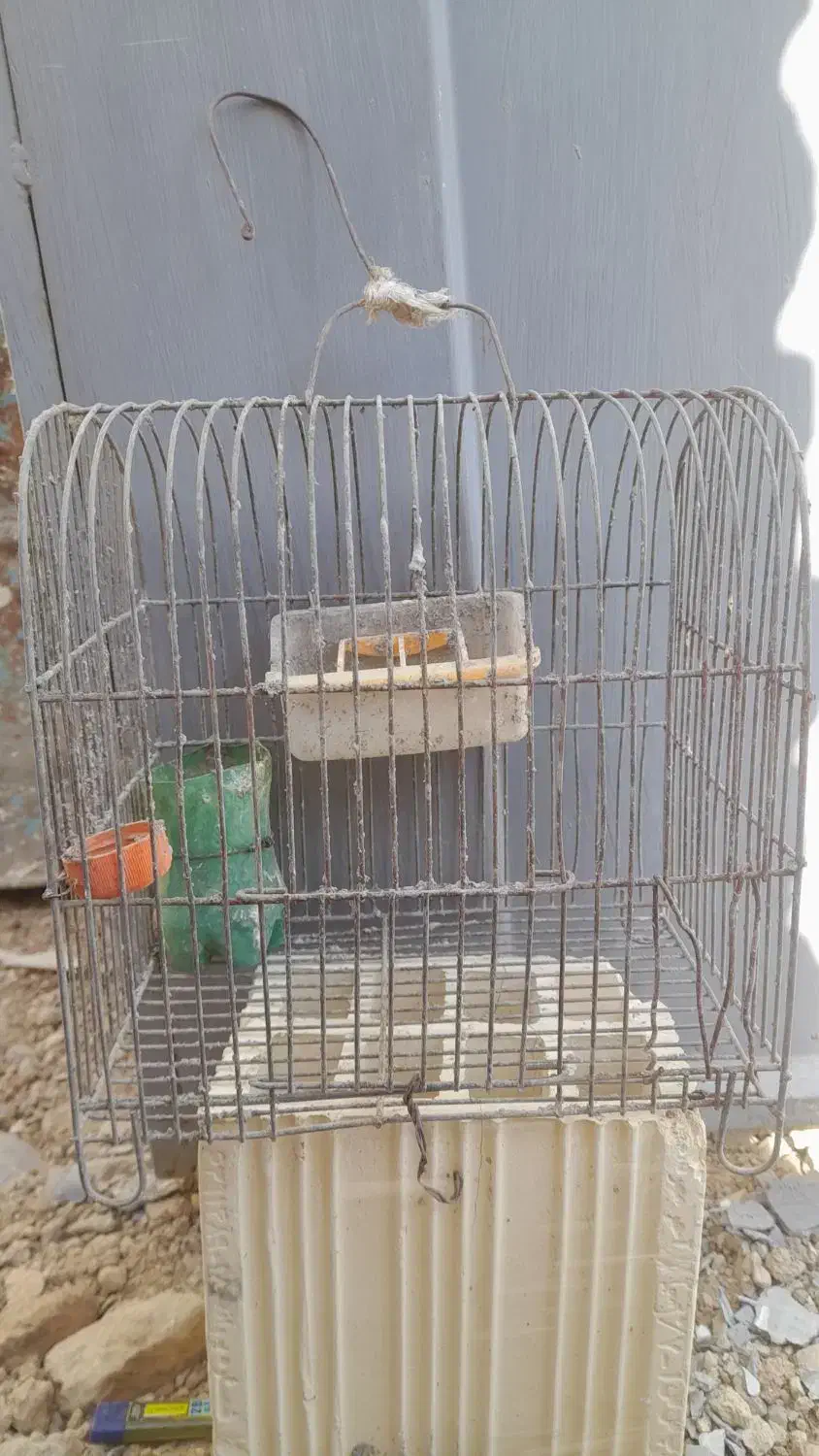 سلام.|لوازم جانبی حیوانات|اشترینان, |دیوار