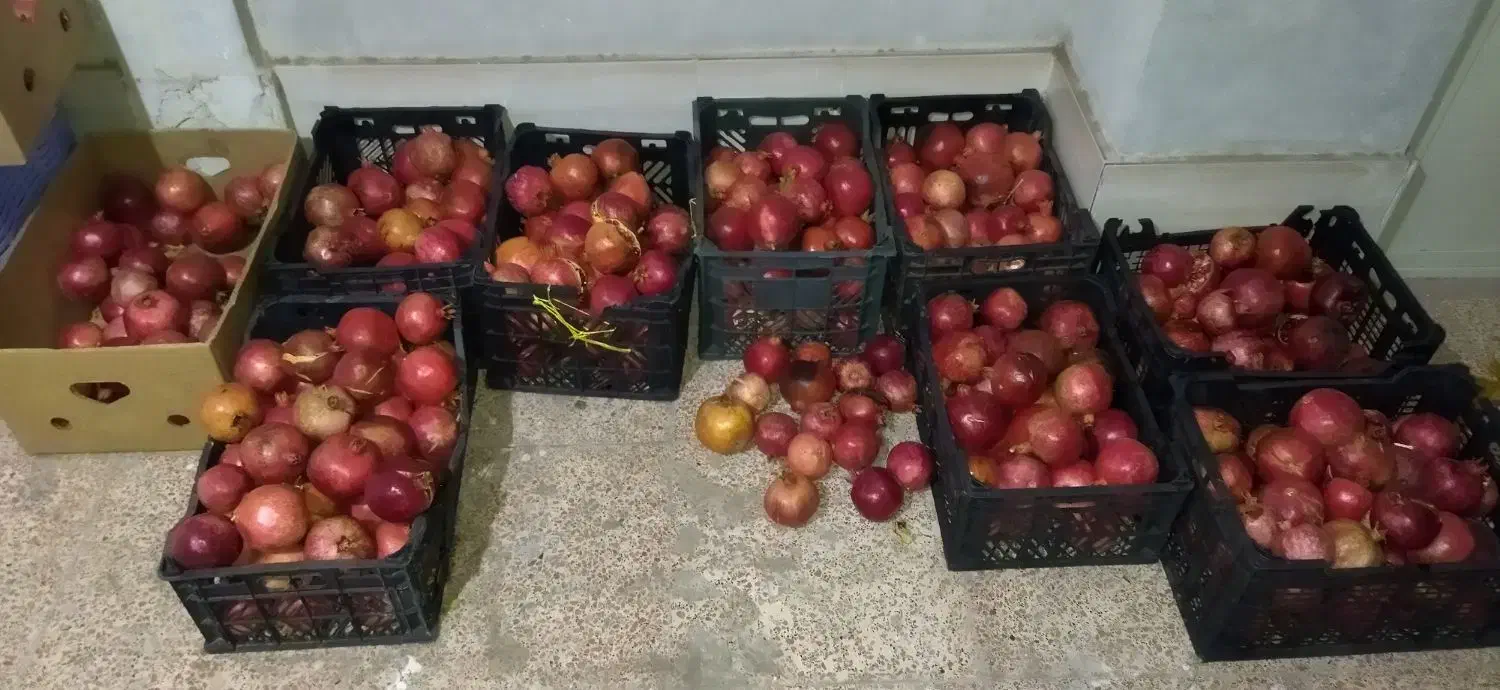 فروش انار ترش و ملس درجزین|خوردنی و آشامیدنی|مهدی شهر, |دیوار