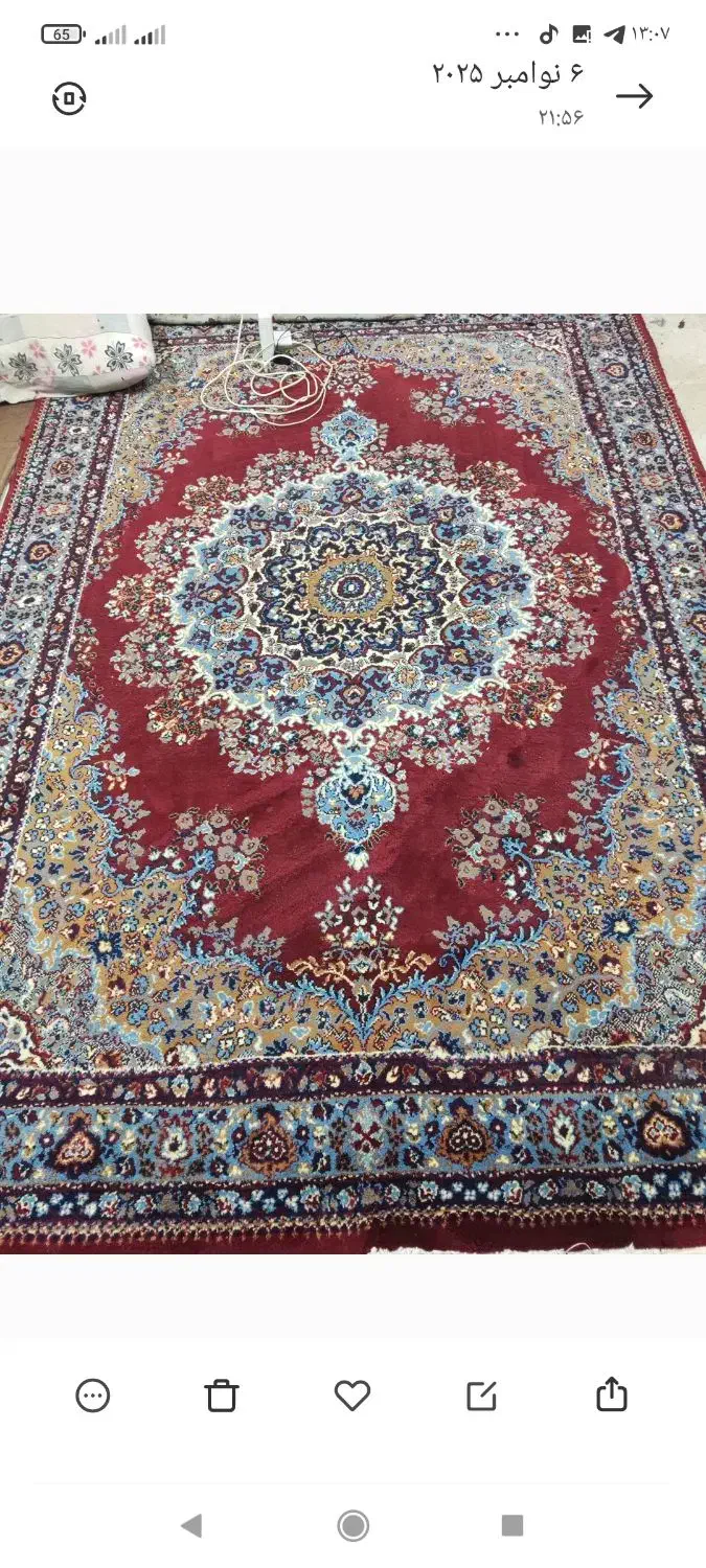 قالی۶متری|فرش|بندر گناوه, |دیوار