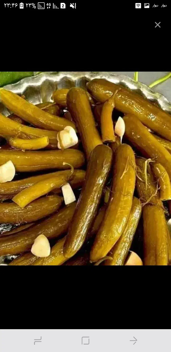 خیار شور۱۷۰|خوردنی و آشامیدنی|دره شهر, |دیوار