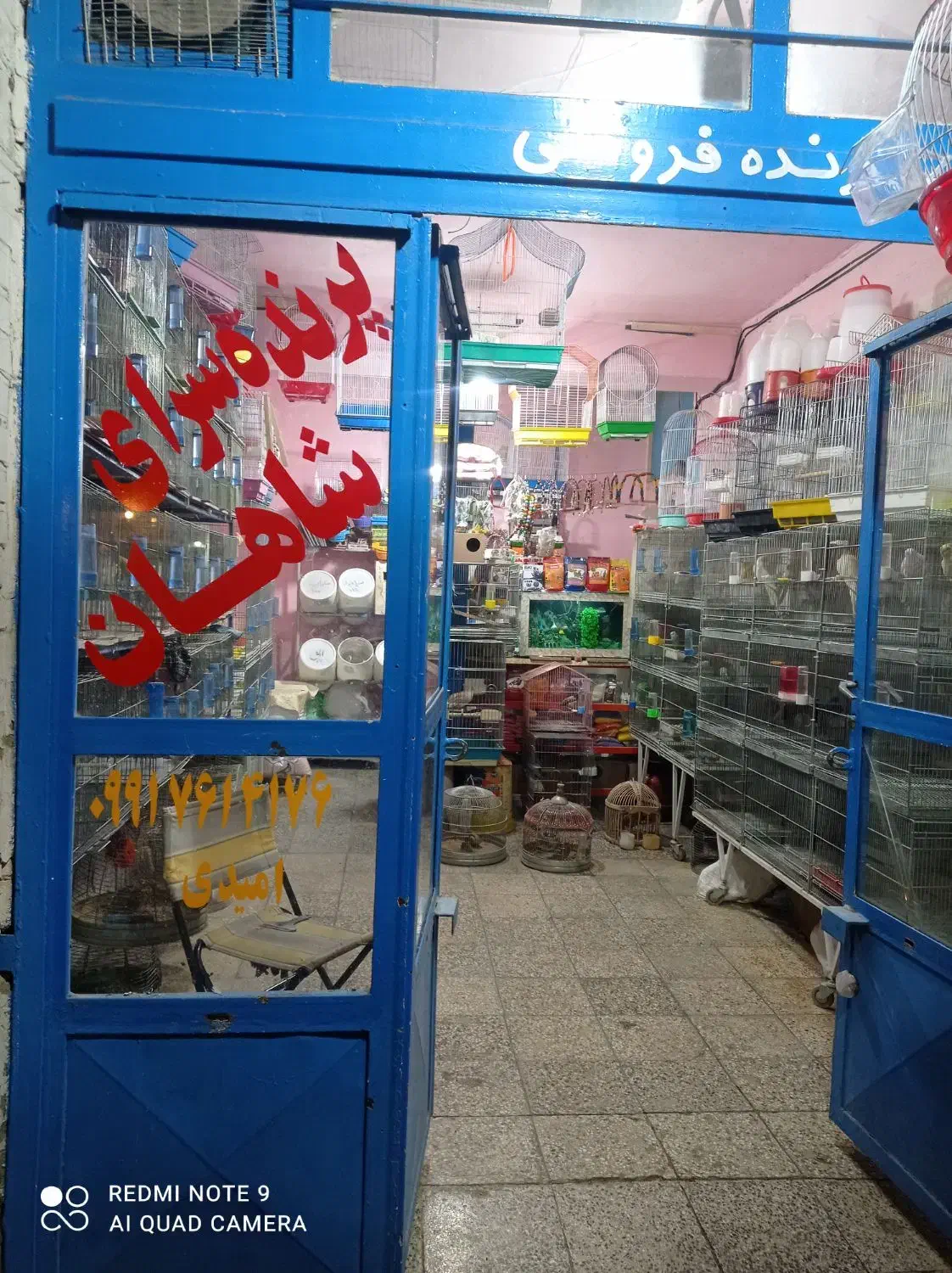 پرنده سرای شاهان|پرنده|شهرکرد, |دیوار