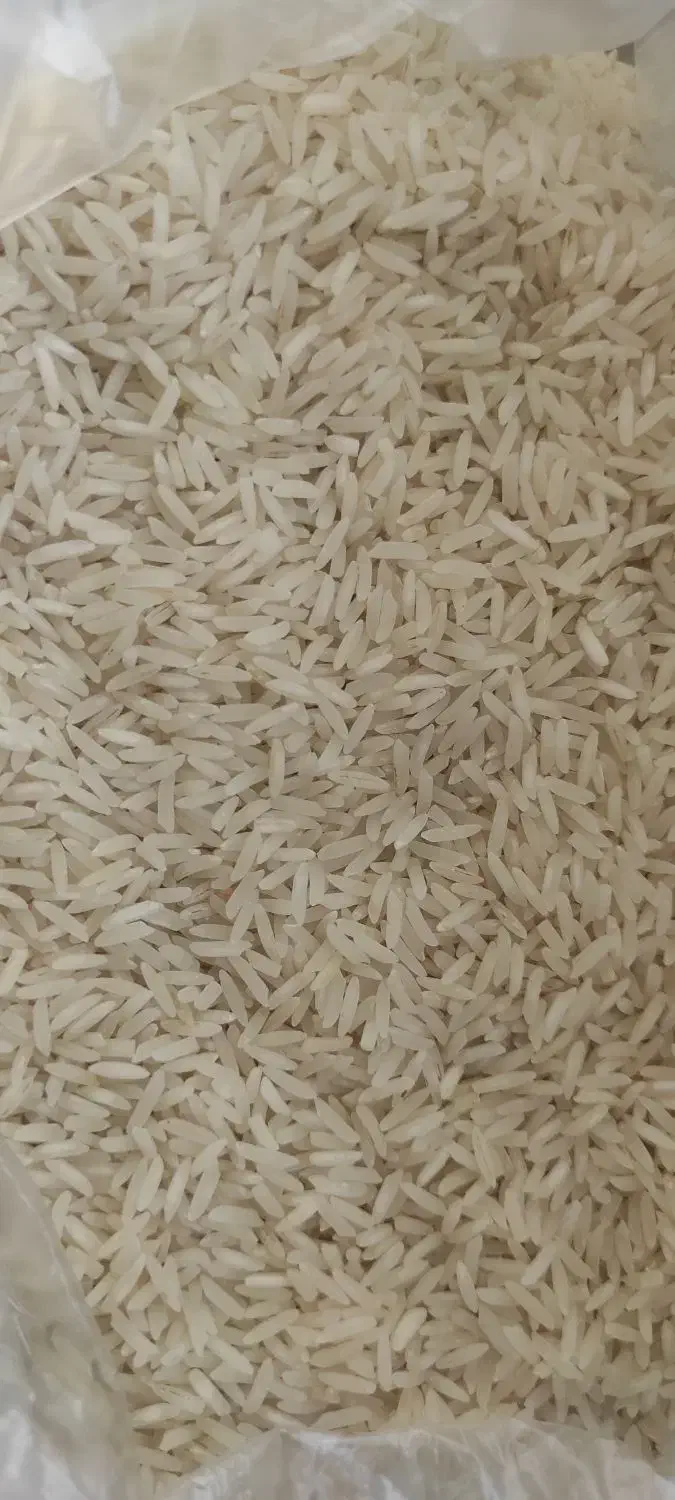 برنج گلستان|خوردنی و آشامیدنی|اهواز, زیتون کارمندی|دیوار