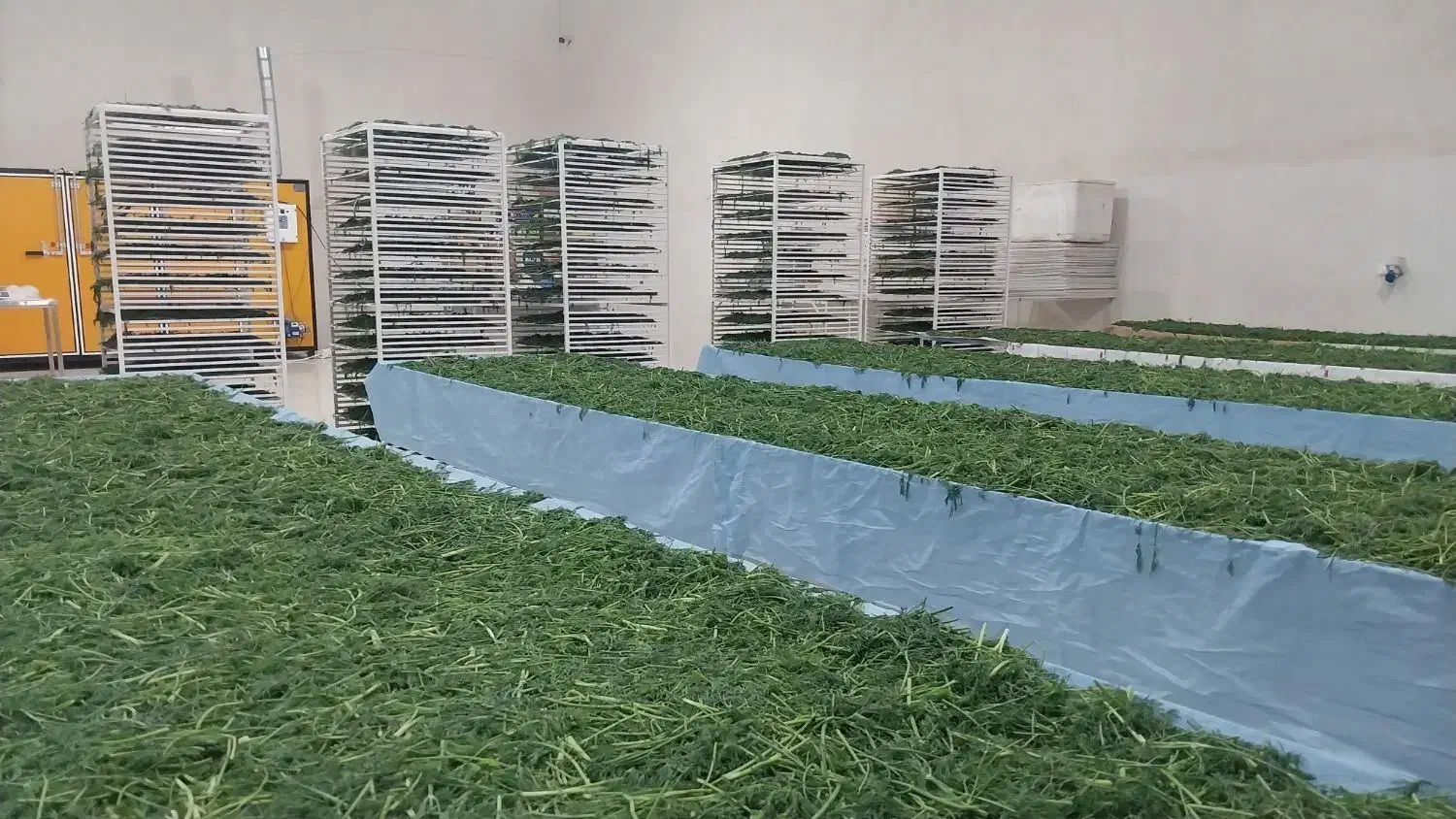 فروش سبزی قورمه سبزی|خوردنی و آشامیدنی|رومشکان, |دیوار