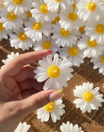 شمع فقط ۱۰هزار|صنایع دستی و سایر لوازم تزئینی|قزوین, |دیوار