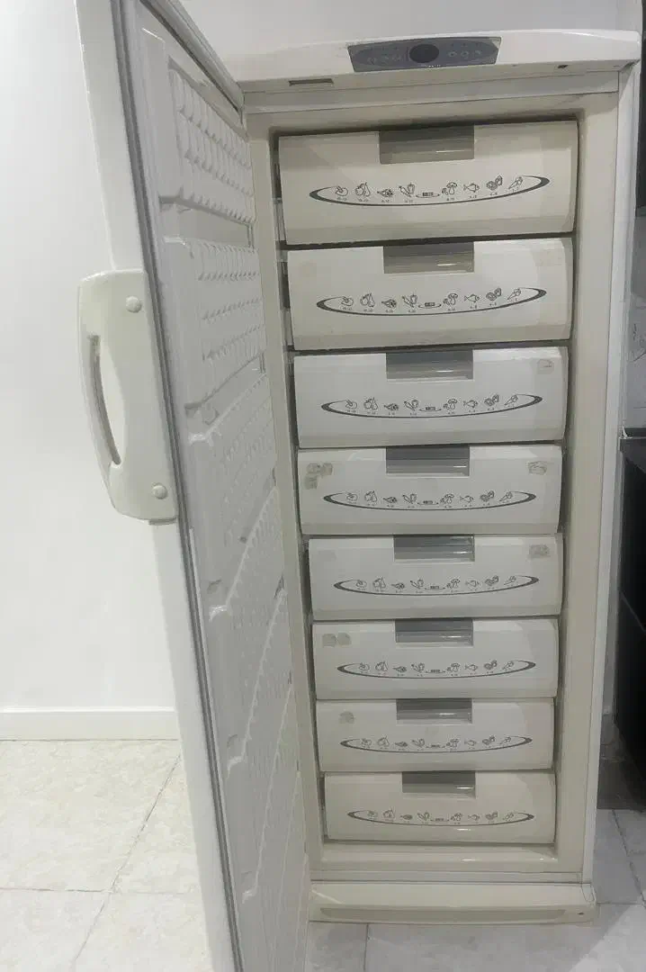 فریزر ارج اصلی|یخچال و فریزر|اهواز, کوی باهنر|دیوار