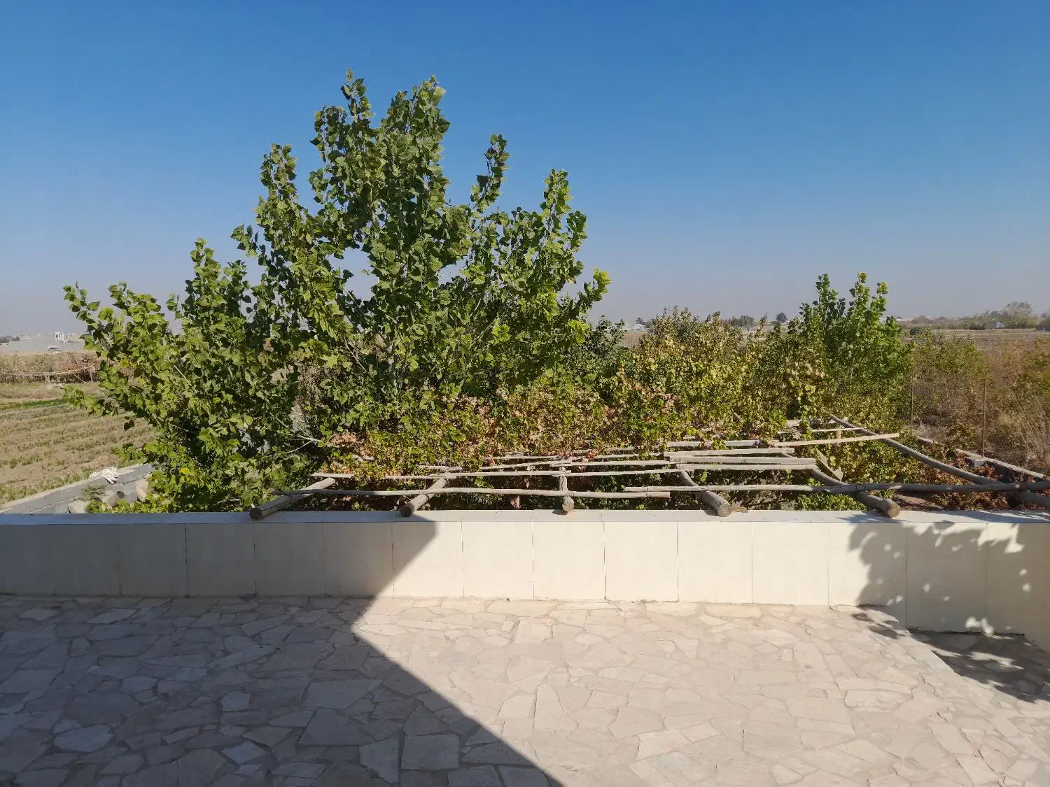 اجاره روزانه|اجارهٔ کوتاه‌مدت آپارتمان و سوئیت|کویرات, |دیوار