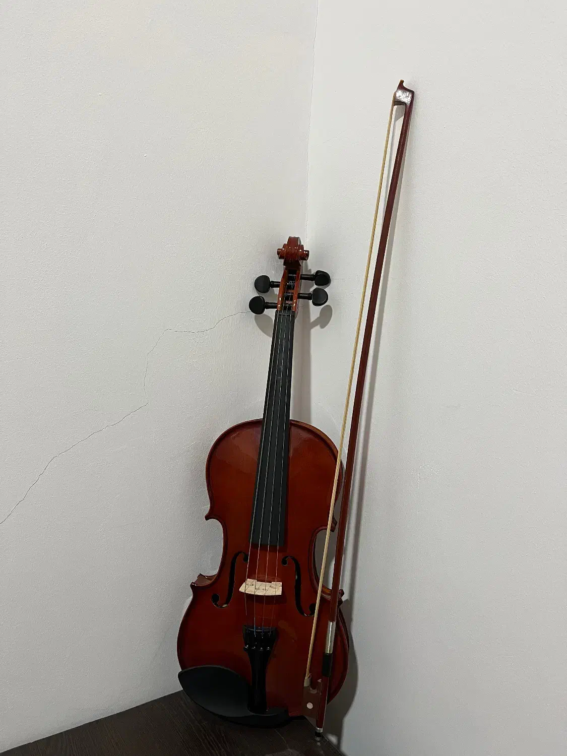 ویالون AMATi سایز 4/4|ویولن|بندر انزلی, جهانگانی|دیوار