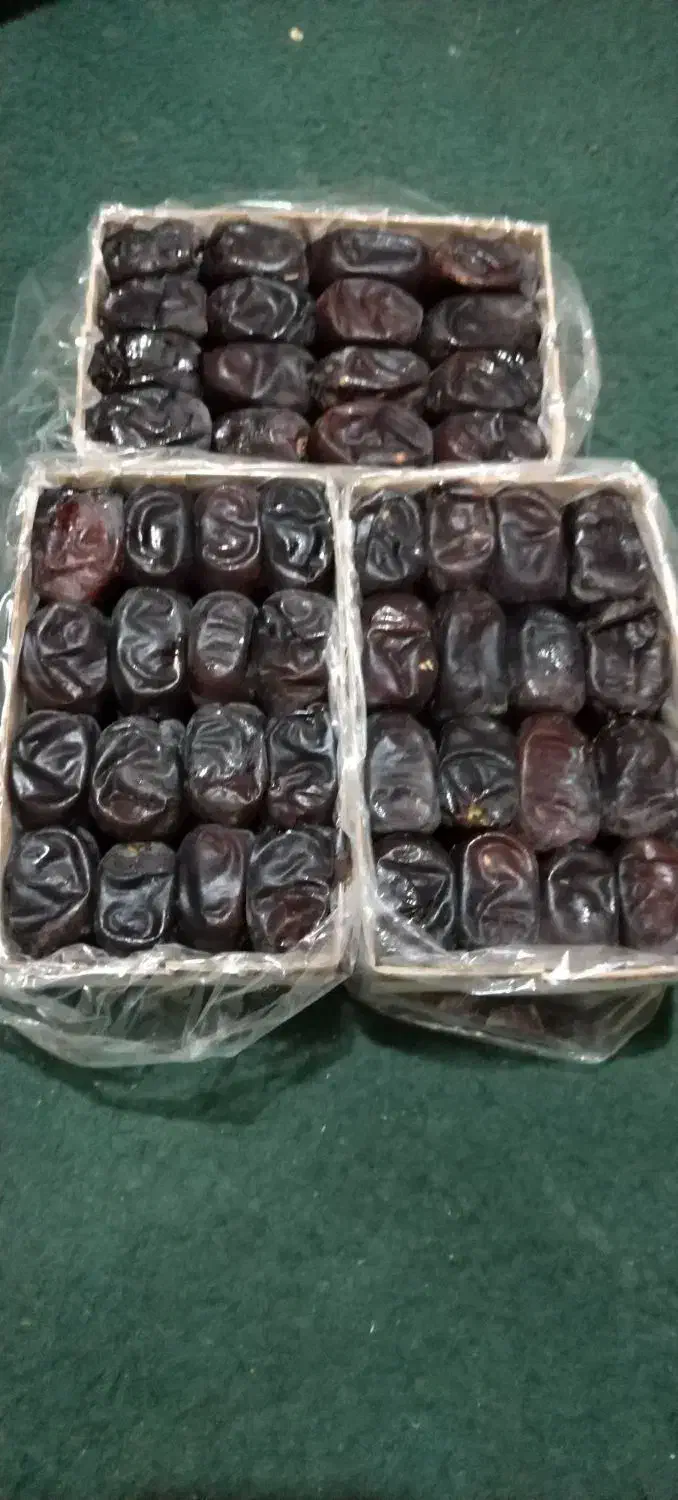 خرما مضافتی|خوردنی و آشامیدنی|ریگان, |دیوار