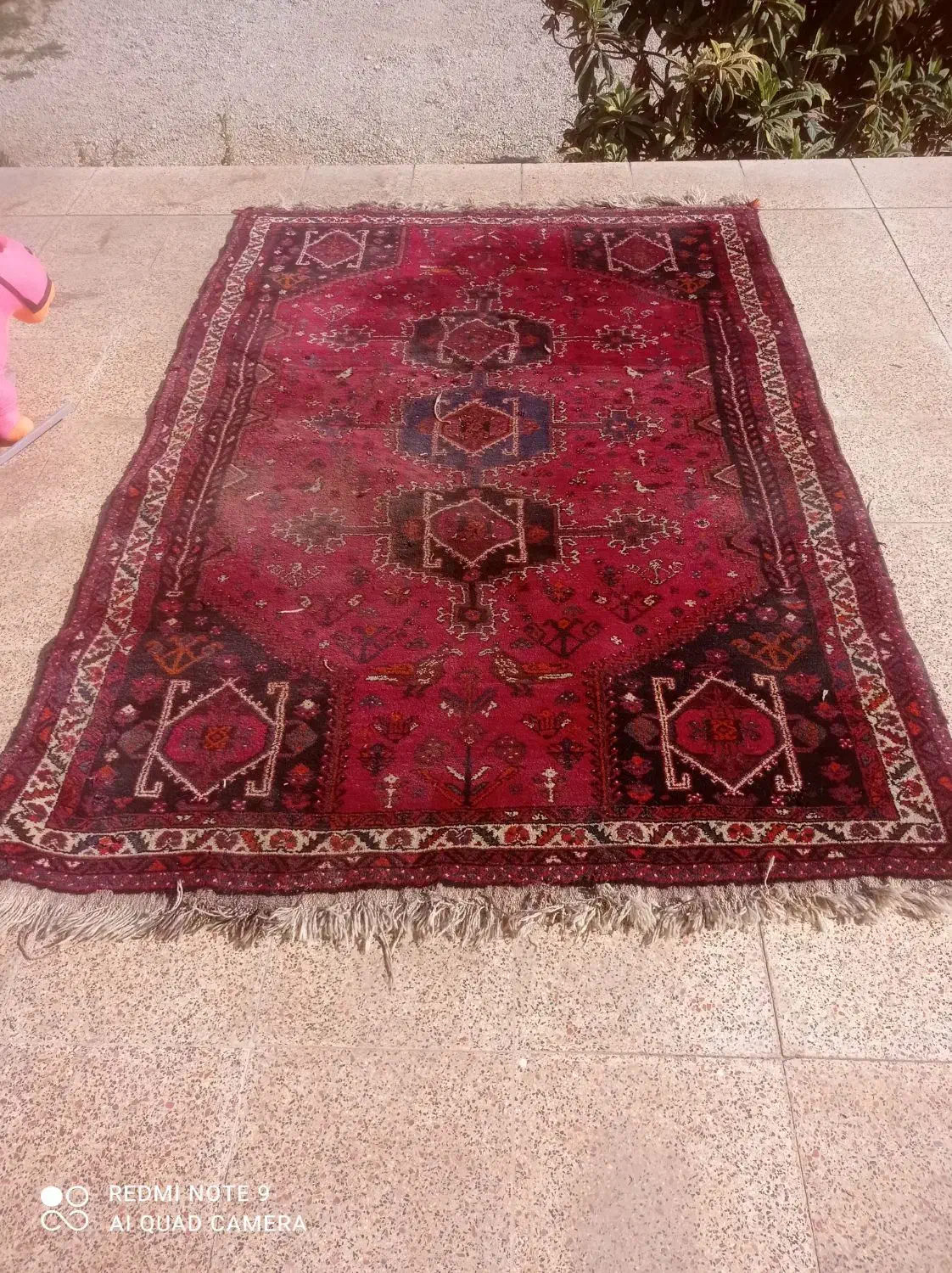 قالی دستباف محلی|فرش|شیراز, نصر|دیوار