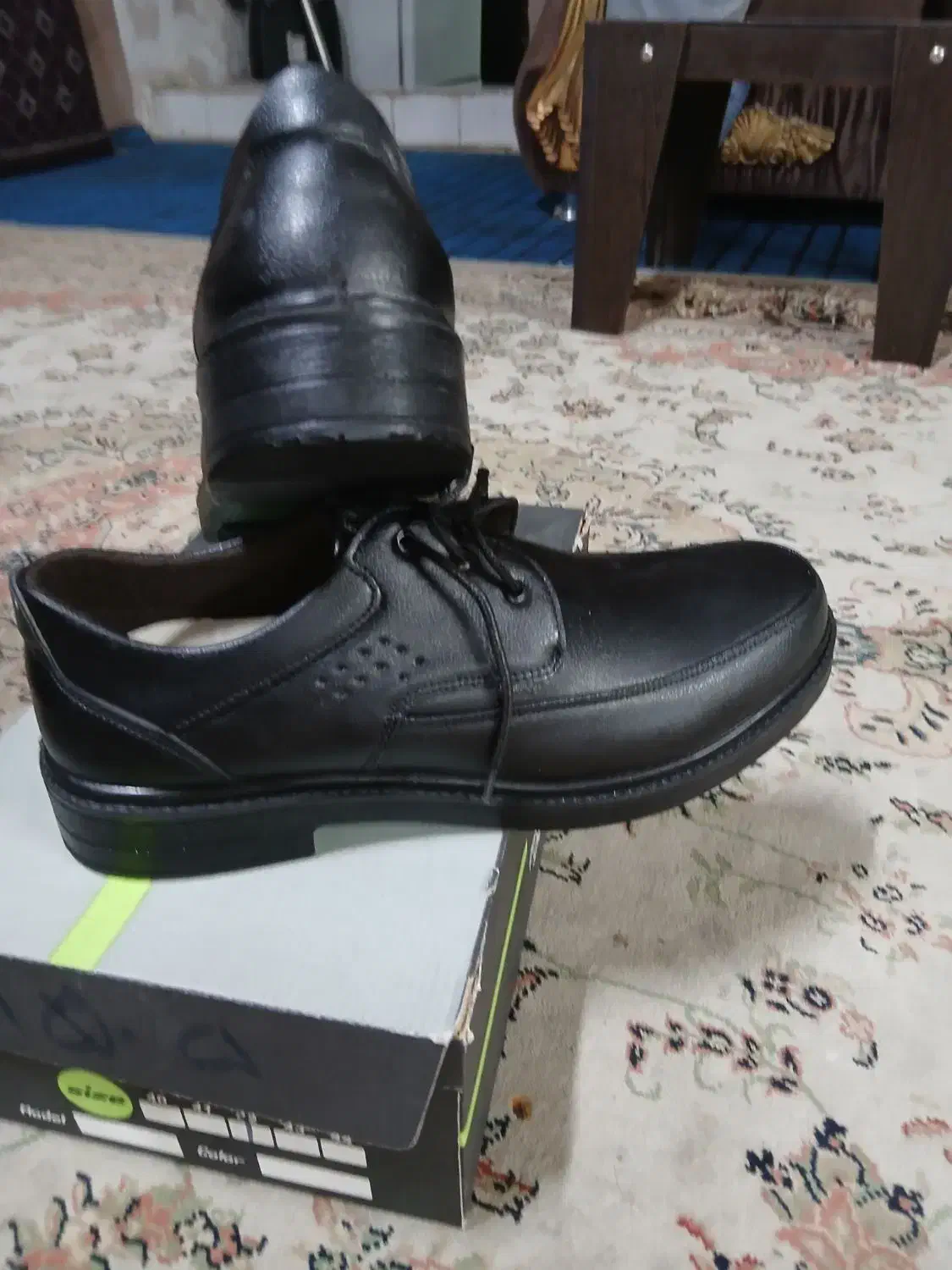 کفش|کیف، کفش، کمربند|قوچان, |دیوار