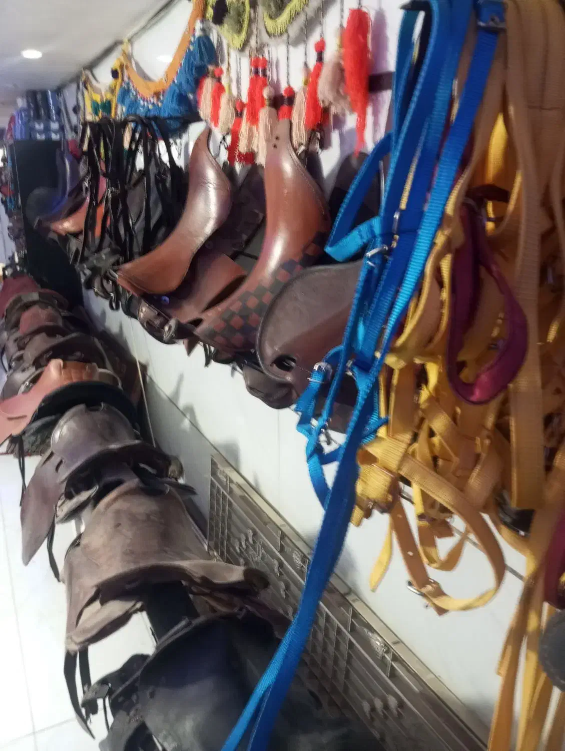 تجهیزات اسب|اسب و تجهیزات اسب‌سواری|قدس, شهر‌قدس|دیوار