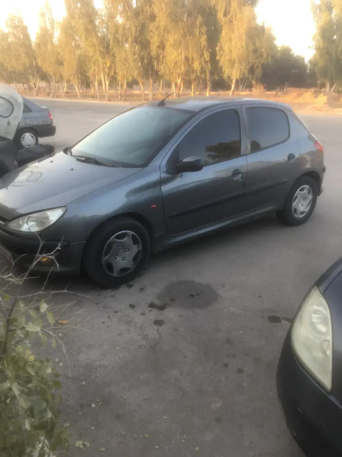 ۲۰۶مدل ۸۷تیپ ۳|خودرو سواری و وانت|یزد, |دیوار