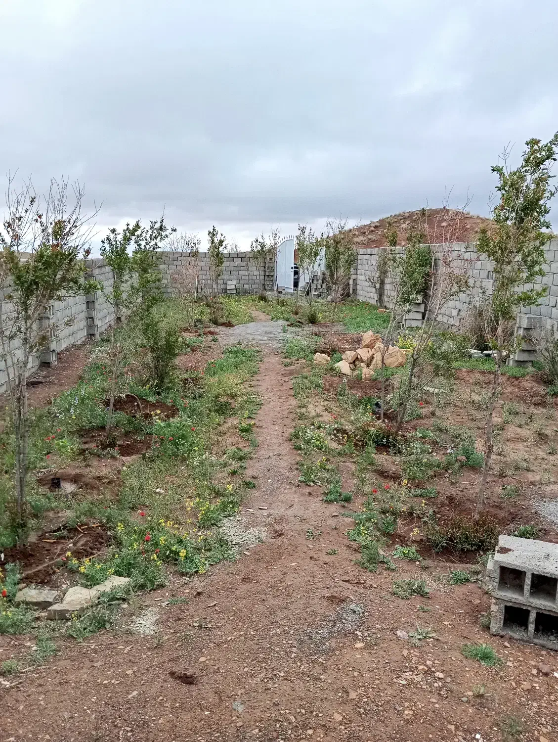 ویلاباغ درروستای حسن آباد5کیلوکتر بعدطبس|فروش خانه و ویلا|نوده انقلاب, |دیوار