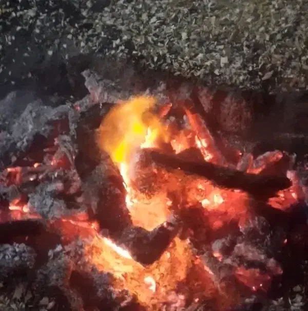 هیزم شومینه ای و آتیشی یانار|عمده‌فروشی|چهارباغ, |دیوار