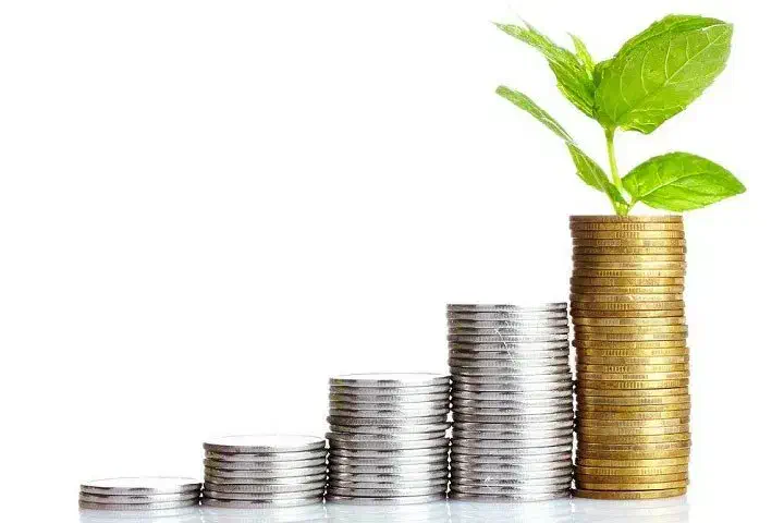 نیازمند سرمایه گذاری|فعالیت داوطلبانه|جهرم, |دیوار