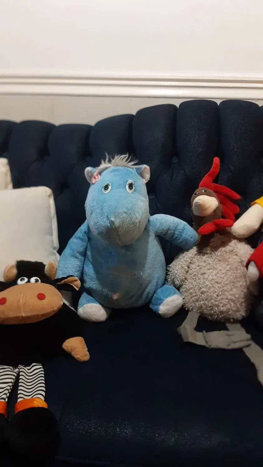 عروسک|اسباببازی|برازجان, |دیوار