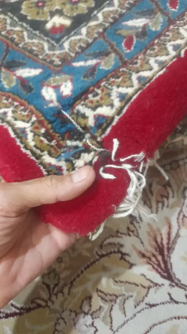 قالی ماشینی|فرش|قوچان, |دیوار