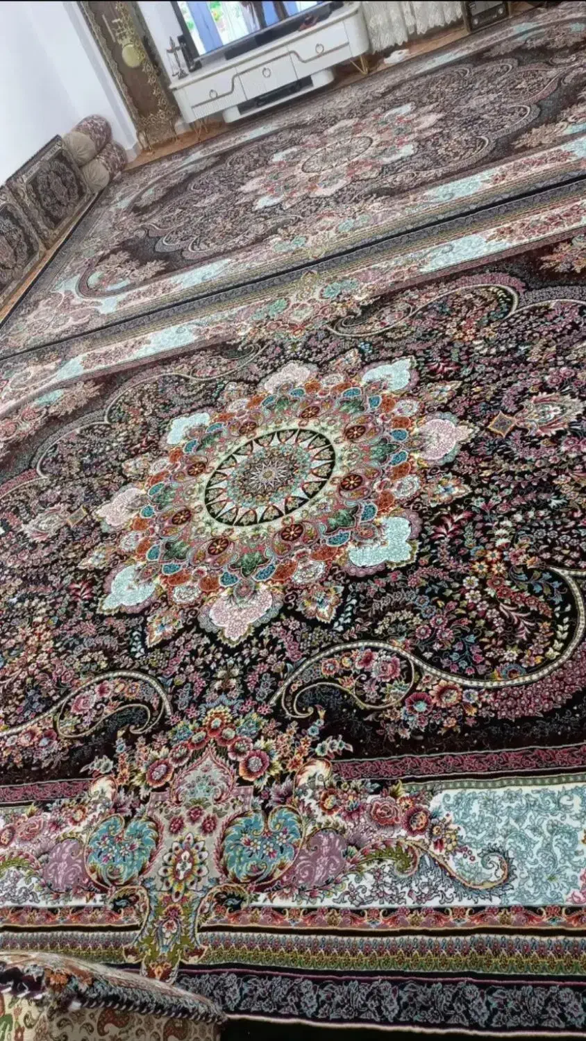 ۲ عدد دوازده متری و شش عدد پشتی|فرش|کامیاران, |دیوار