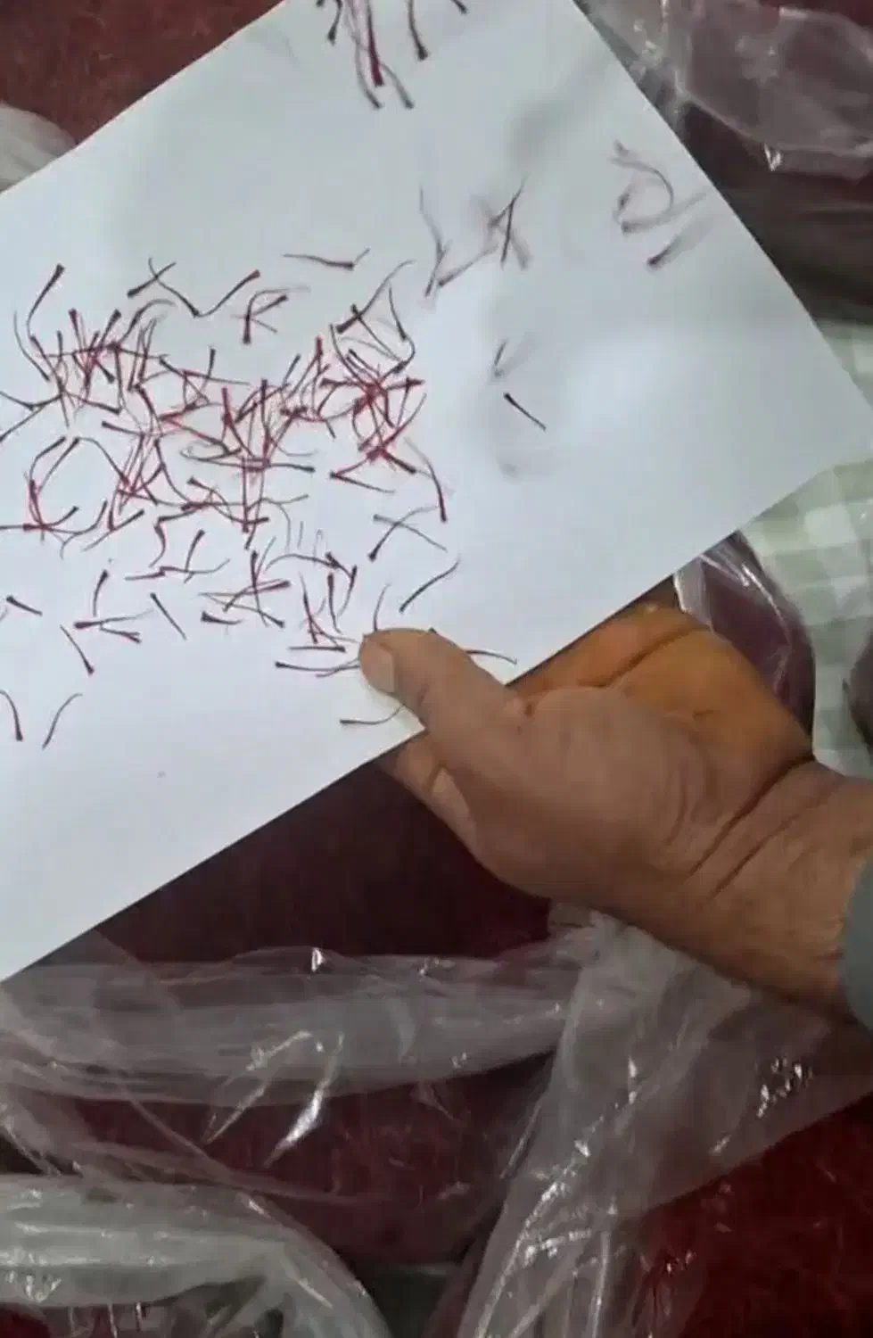 افضل نوعیة الزعفران للتصدیر بالجملةBest saffron|عمده‌فروشی|تهران, امین حضور|دیوار