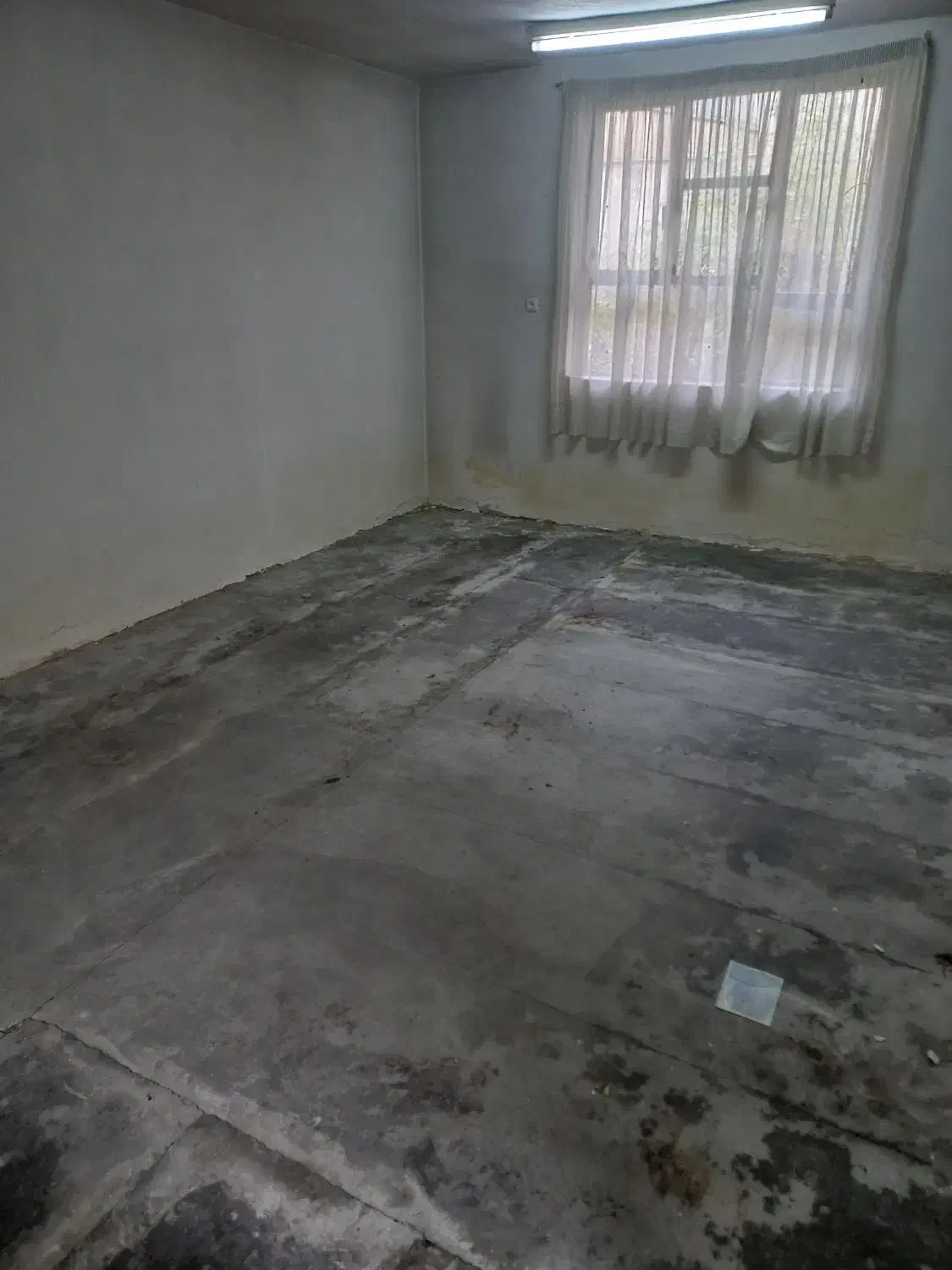 اجاره خانه ویلایی بازمین بزرگ|اجارهٔ خانه و ویلا|رشت, فلسطین|دیوار