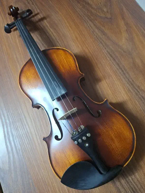 ویولن کریستینا 4/4|ویولن|زنجان, |دیوار