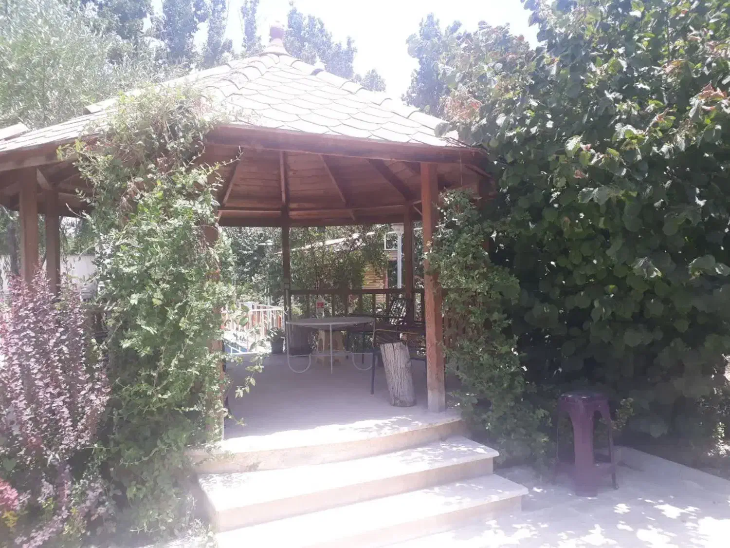 فروش باغچه|فروش خانه و ویلا|هشتگرد, حمیدیه|دیوار