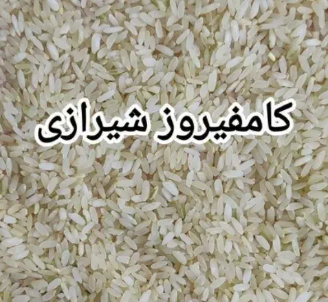 برنج کامفیروز اصل|خوردنی و آشامیدنی|اصفهان, جویباره|دیوار