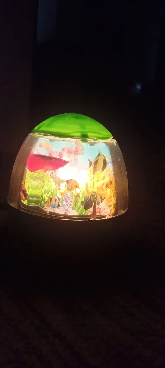 شو خواب|چراغ خواب و آباژور|سردشت, |دیوار