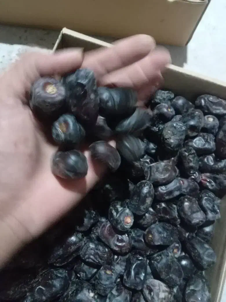 خرمامضافتی کارتن ۵کیلو ۵تن ونیم داخل سردخانه|خوردنی و آشامیدنی|ایرانشهر, |دیوار