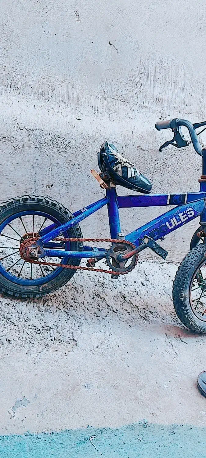 دوچرخ 12|دوچرخه، اسکیت، اسکوتر|بندرعباس, |دیوار