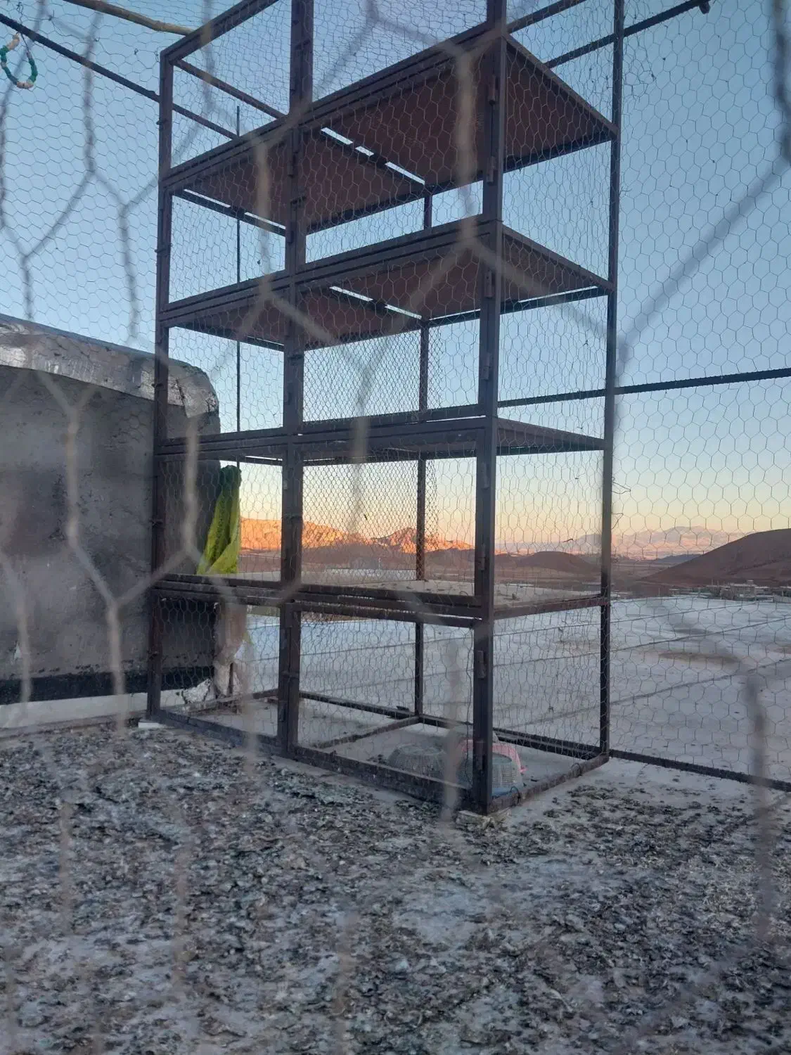 جفت کن کبوتر|لوازم جانبی حیوانات|قزوین, |دیوار