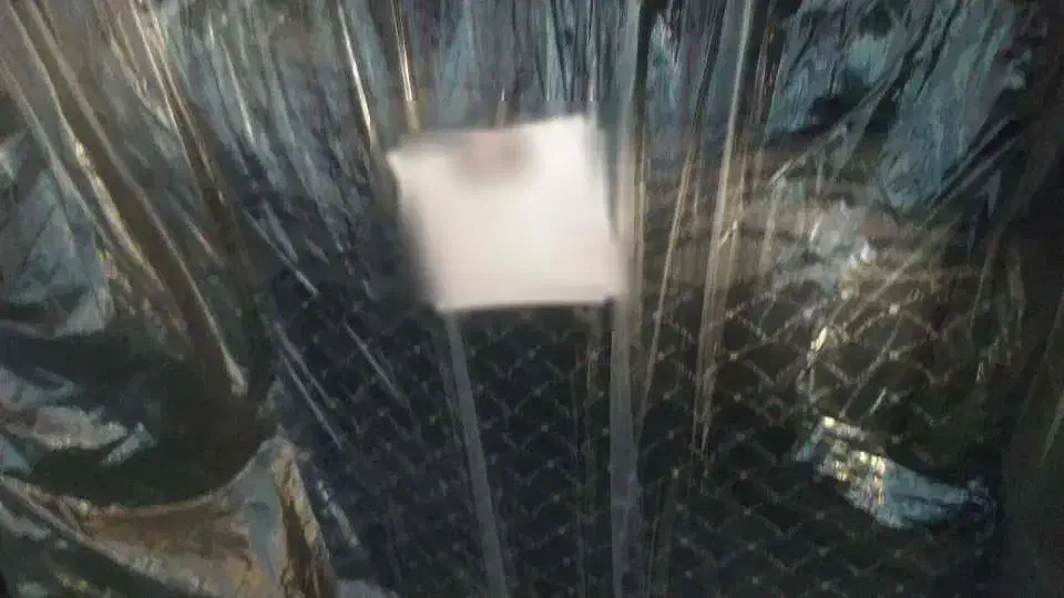 پژو 405 مدل ۸۸ صفر کلکسیونی|خودرو سواری و وانت|خرامه, |دیوار