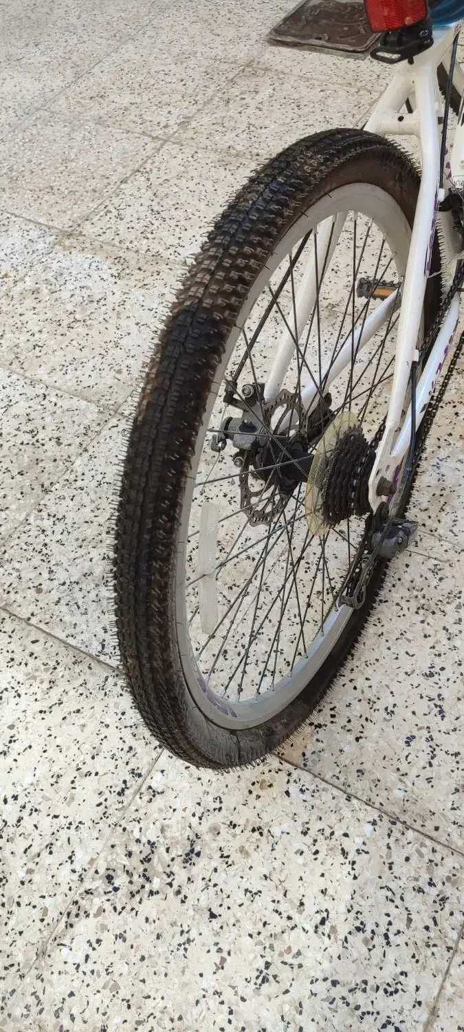 فروش دوچرخه ۲۶ صفر کیلومتر نو|دوچرخه، اسکیت، اسکوتر|بجنورد, |دیوار