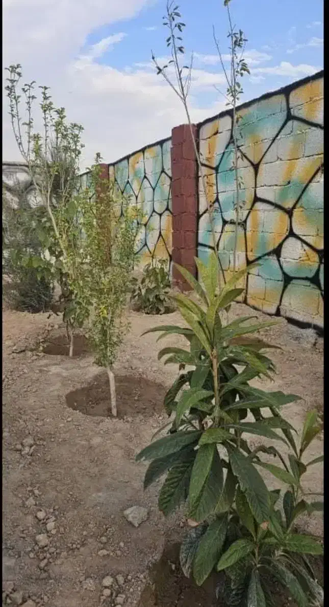 باغچه ۱۹۹ متری سند تک برگ|فروش زمین و ملک کلنگی|رباط‌کریم, رباط‌کریم|دیوار