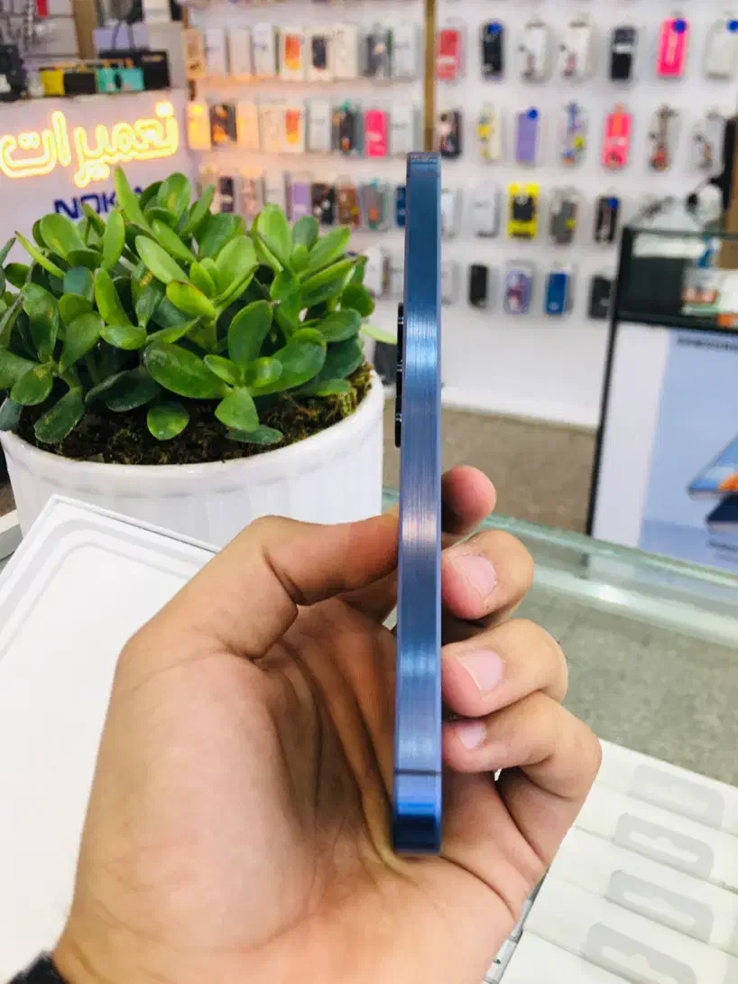 Samsung galaxy A55 5g|موبایل|کرج, اصفهانیها|دیوار