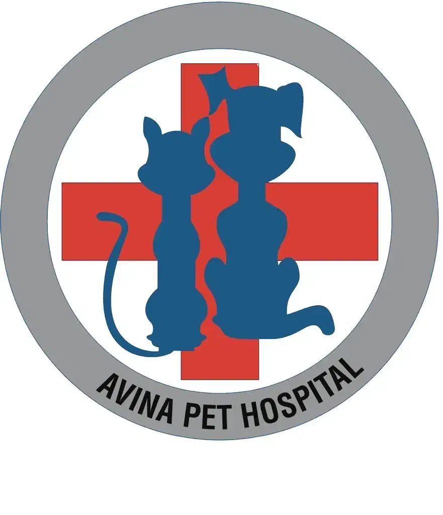 باریستا کافه|استخدام خدمات فروشگاه و رستوران|تهران, امانیه|دیوار