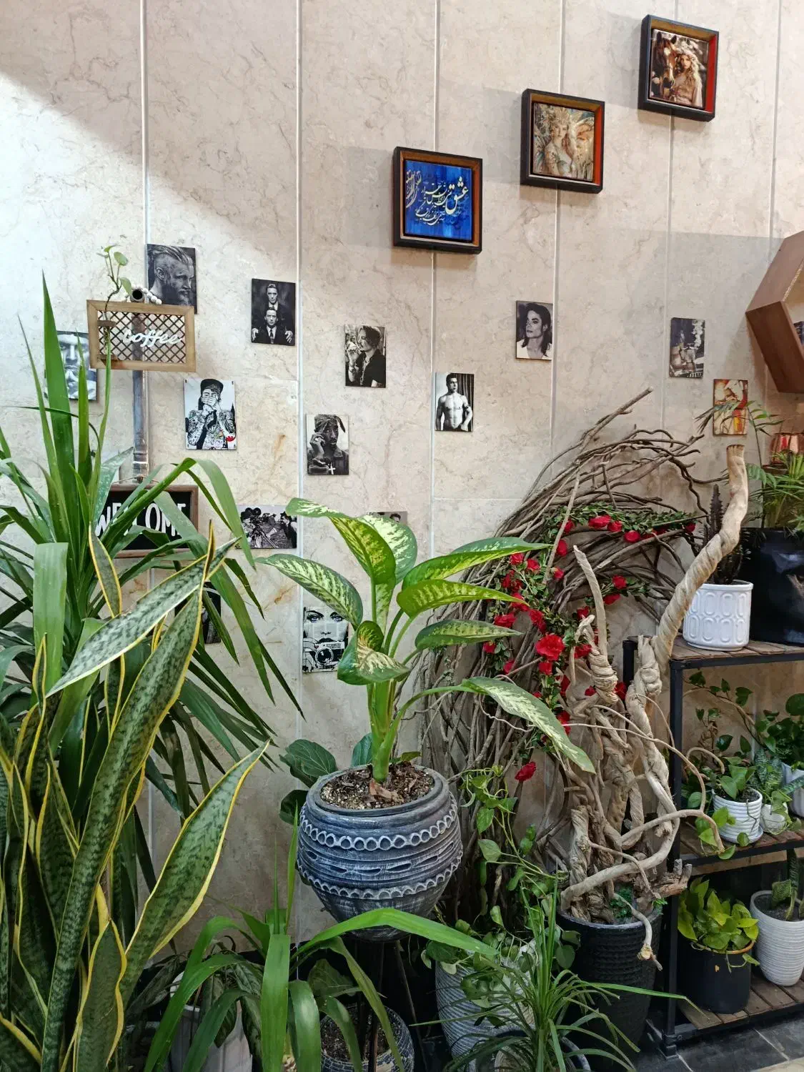 قهوه هیلان یک فنجان حال خوب|خدمات پذیرایی، مراسم|کهریزک, |دیوار