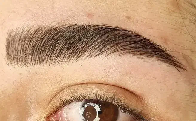 تخفیف ویژه شیدینگ لب و فیبروز ابرو|خدمات آرایشگری و زیبایی|بوشهر, |دیوار