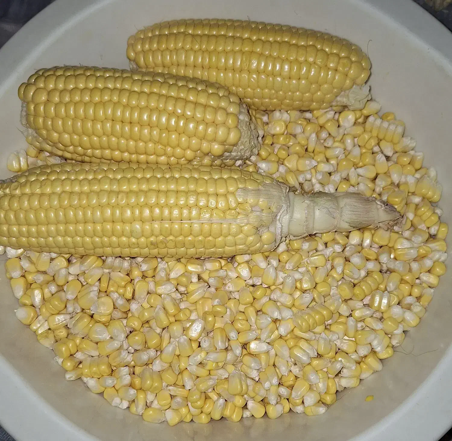 بلال دون شده مکزیکی|خوردنی و آشامیدنی|تهران, امام زاده عبدالله|دیوار