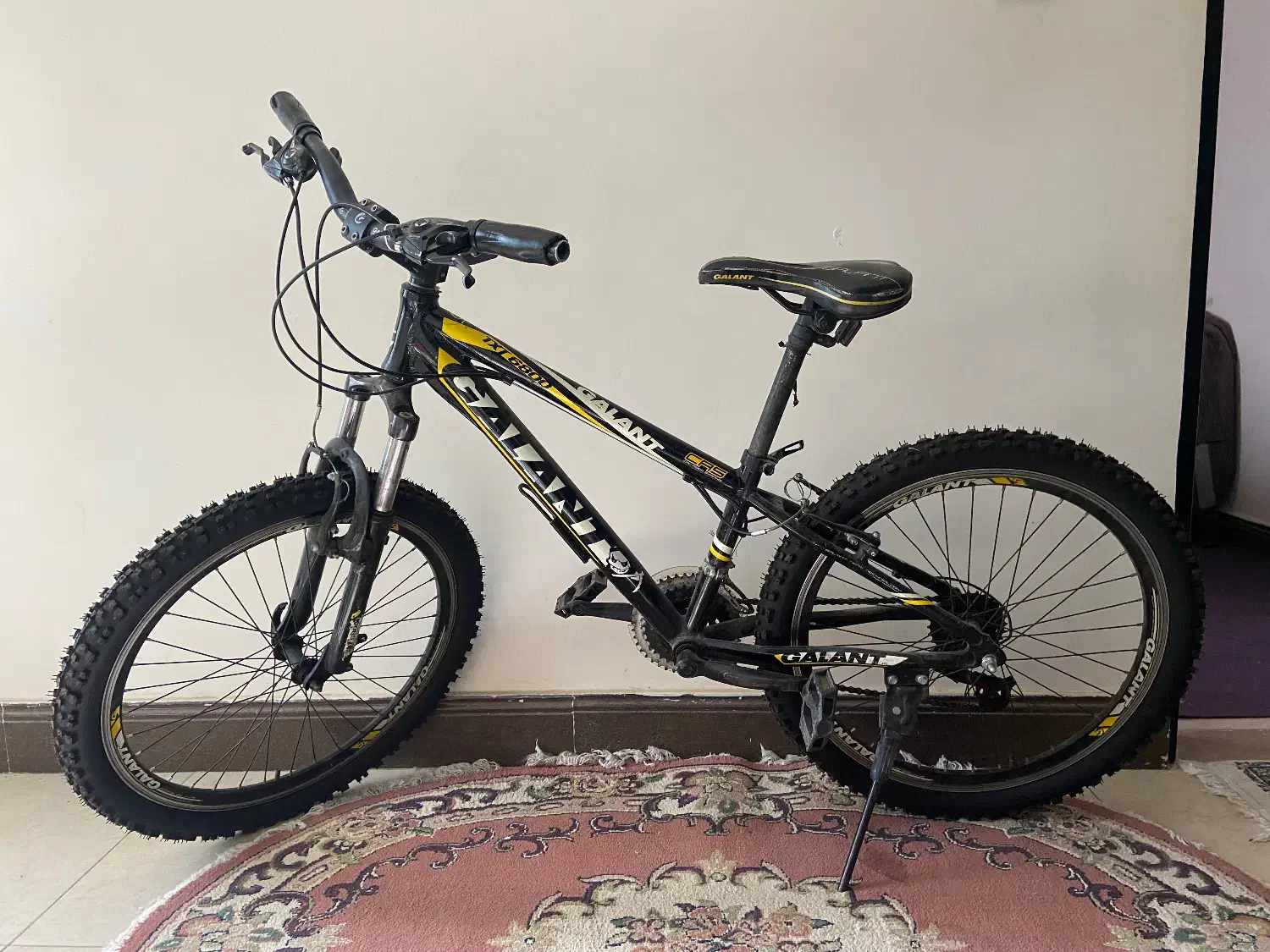 دوچرخه ۲۴|دوچرخه، اسکیت، اسکوتر|کوهسار (البرز), |دیوار