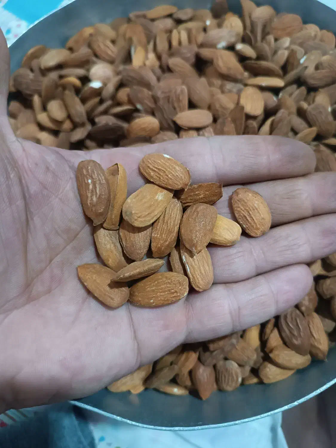مغز بادام لوکس مجلسی|خوردنی و آشامیدنی|قم, مهدیه|دیوار