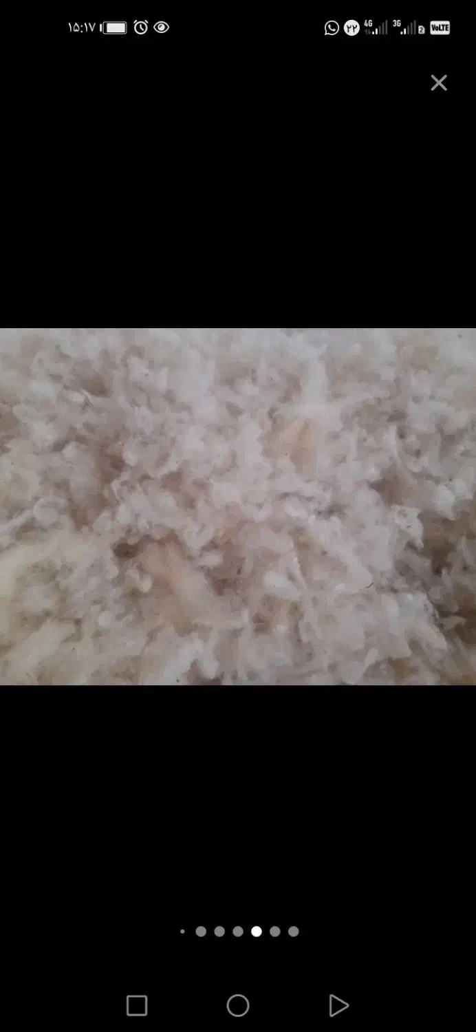 پشم گوسفندی شستشو ‌شده|رختخواب، بالش، پتو|خسروشاه, |دیوار